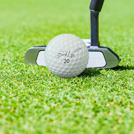Master the Greens: The Art of Choosing the Ultimate Putter